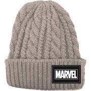 SPAP1203 MARVEL ロゴ ニットキャップ  ブラック× グレー [キャラクターグッズ]