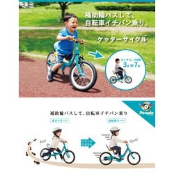ヨドバシ.com - ピープル ケッターサイクル 16インチ(型