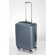 シャワー BLUESILVER 74-30602