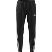EAX45 CD8314 J/XS [TANGO CAGE FITKNIT トレーニングパンツ]