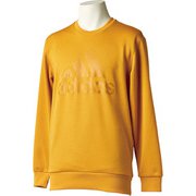 DJP50 CE0272 J2XO M [ESS ENTIALS ライトクルーネックスウェット]