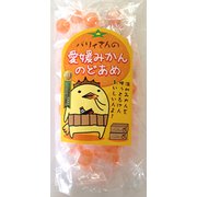 バリィさんの愛媛みかんのど飴 120g