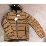 JKMCA003W15-TINTED GOLD/L