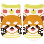 和ごころ ベビーソックス レッサーパンダ