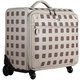 ST6RO-10 [スターリング ROLLER LUGGAGE キャスターバッグ LIGHT GRAY]