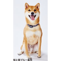 ヨドバシ Com ペティオ 犬雅 唐草カラー Ss グリーン 犬用首輪 通販 全品無料配達