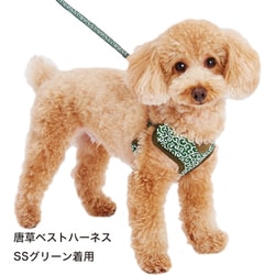 ヨドバシ Com ペティオ 犬雅 唐草ベストハーネス S レッド 犬用ベストハーネス 通販 全品無料配達