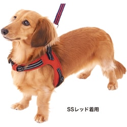 ヨドバシ Com ペティオ ラブハーネス Ss ブルー 犬用ハーネス 通販 全品無料配達