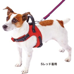 ヨドバシ Com ペティオ ラブハーネス S ブルー 犬用ハーネス 通販 全品無料配達