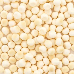 ヨドバシ Com ペティオ 乳酸菌のちから ヨーグルボーロ 1g 犬用おやつ 通販 全品無料配達