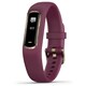 vivosmart 4 Merlot RoseGold レギュラー (ヴィヴォスマート 4 メルローローズゴールド) アクティビティトラッカー 010-01995-61