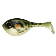 ベビーデラボール トノサマガエル.