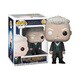 POP！ ファンタスティック・ビーストと黒い魔法使いの誕生 ゲラート・グリンデルバルド [塗装済完成品フィギュア 全高約90mm]