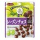 果実Veil レーズンチョコスタンドパウチ 49g [チョコレート菓子]