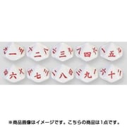 KG14160 [10面漢数字ダイス]