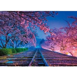 05-1015 夢の軌道 京都 [ジグソーパズル 500ピース（完成サイズ：38×53cm）]