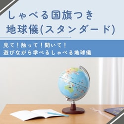 ヨドバシ.com - レイメイ藤井 Raymay Fujii OYV46 [しゃべる国旗