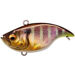 ヨドバシ Com メガバス Megabass Vibration X Dyna バイブレーションx ダイナ Rattle In Gg ギル 通販 全品無料配達