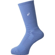 XAS357 41 28cm [カラーソックス25 サックス]