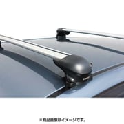 XB 100S [エアロベースバーシルバー]