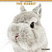 CL-1146 [カレンダー2019 THE RABBIT]