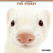 CL-1147 [カレンダー2019 THE FERRET]