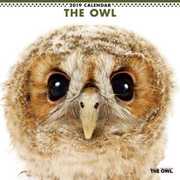 CL-1151 [カレンダー2019 THE OWL]