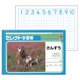 セレクト学習帳 さんすう6マス 22mm方眼 十字リーダー入り K-1