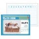 セレクト学習帳 さんすう7マス 18mm方眼 十字リーダー入 K-1-3