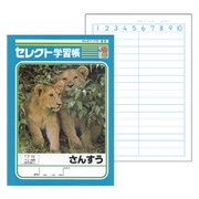 セレクト学習帳 算数17行中割 12mm横罫 K-3