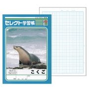 セレクト学習帳 こくご 18マス 12mm方眼 十字リーダー K-14