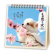 YDC-744-021 [カレンダー 2019 卓上 もの思う犬]