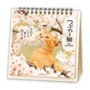 YDC-744-038 [カレンダー 2019 卓上 つぶやく猫]