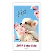 YDD-744-281 [ダイアリー 2019 もの思う犬]