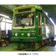 NT167 [東京都電7700形 7701 みどり (M車)]