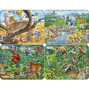 ジャングル4枚セット