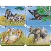 動物4枚セット