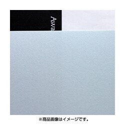 コピーができる和紙 No.175 いんべ 忘れな草 A4 10枚 842938500