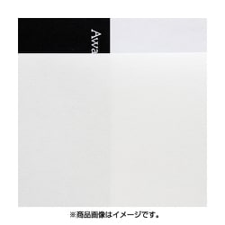 コピーができる和紙 No.185 いんべ 白 A4 10枚 842939500
