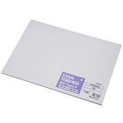 スタートレーパーWG　Pタイプ　A3　50枚 TP03WG