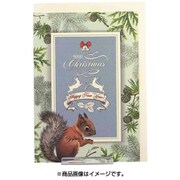 限定 クラシッククリスマスカード 仔リス XCD-259