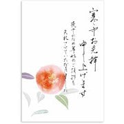 限定 寒中はがき 赤椿 KPC-012