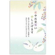 限定 寒中はがき 白兎と南天 KPC-013