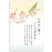 限定 寒中はがき 鶯と梅 KPC-014