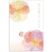 限定 寒中はがき 梅 KPC-019