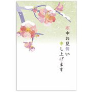限定 寒中はがき 梅と雪 KPC-021