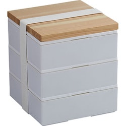 弁当箱 ホームデリボックス 13cm 3段