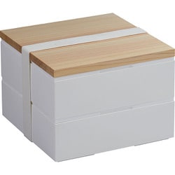 弁当箱 ホームデリボックス 18cm 2段