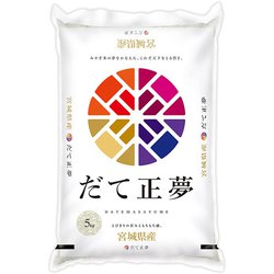 精米 宮城県産 だて正夢 5kg 令和6年産