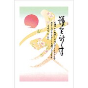 2019年 お年玉付き年賀はがき 2 5枚パック 2019-No.02